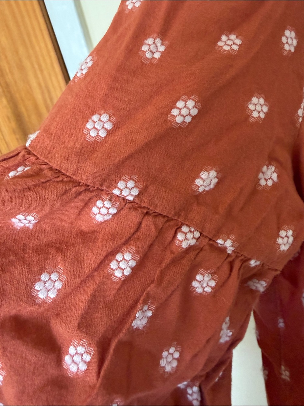 J. Jill Rust Dot Pintuck Button-Front Blouse - Picture 4 of 10